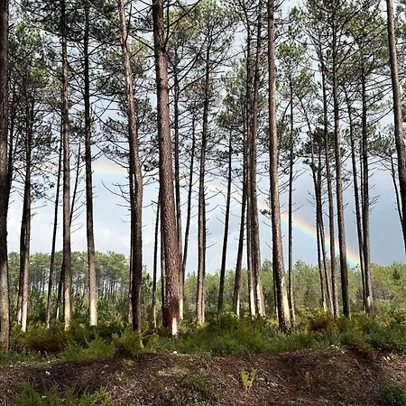 La Casita - Private Pool Nazare