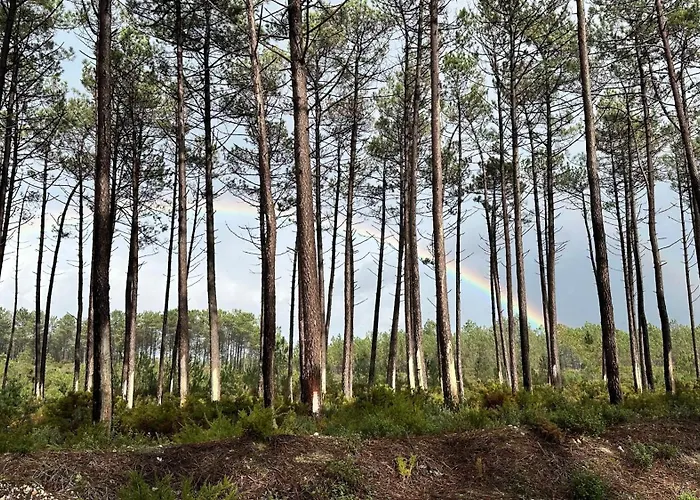 La Casita - Private Pool Nazaré