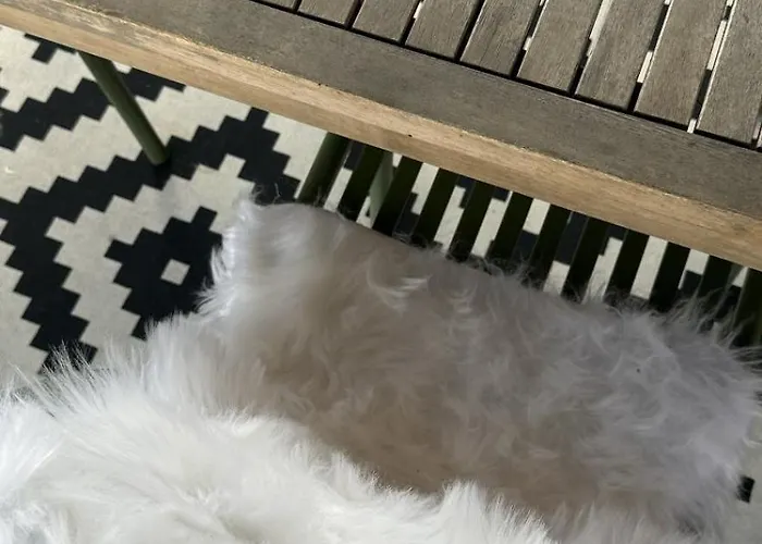 Villa La Casita - Private Pool