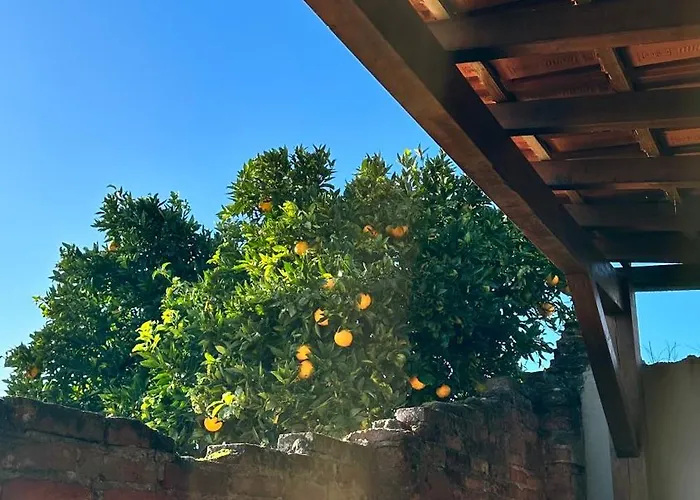 La Casita - Private Pool 纳扎雷